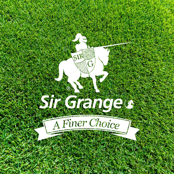 Sir Grange Zoysia